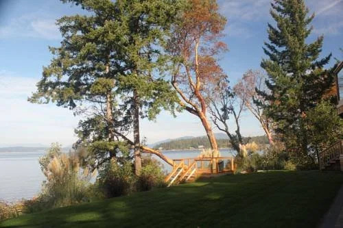 Dragonfly Beach House B&B