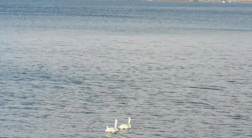 Summers Bay