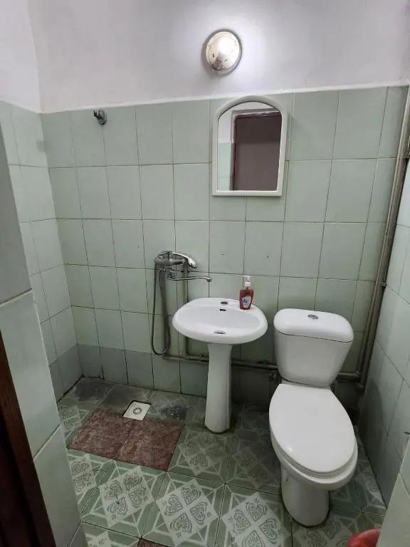 Оазис