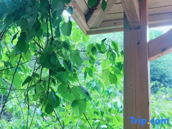 Wuling Mountain's Shouyuzirangjingba Guesthouse