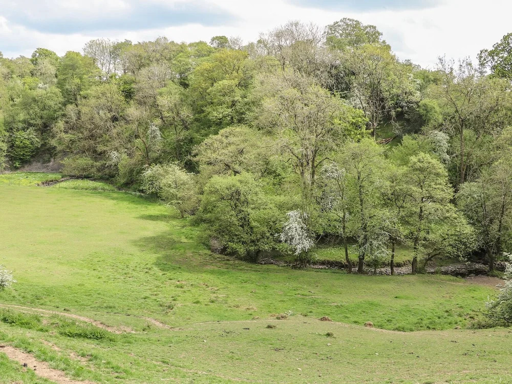 Lower Flass Farm