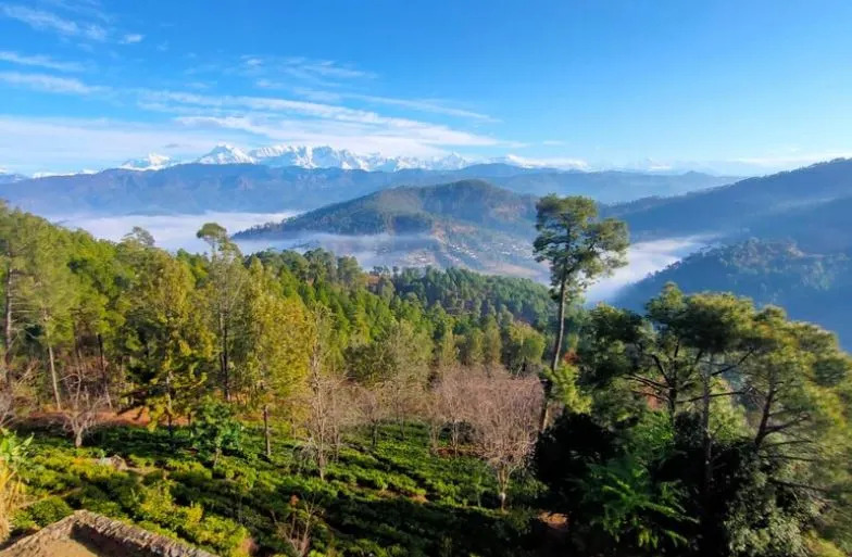 Trishul Regency Kausani