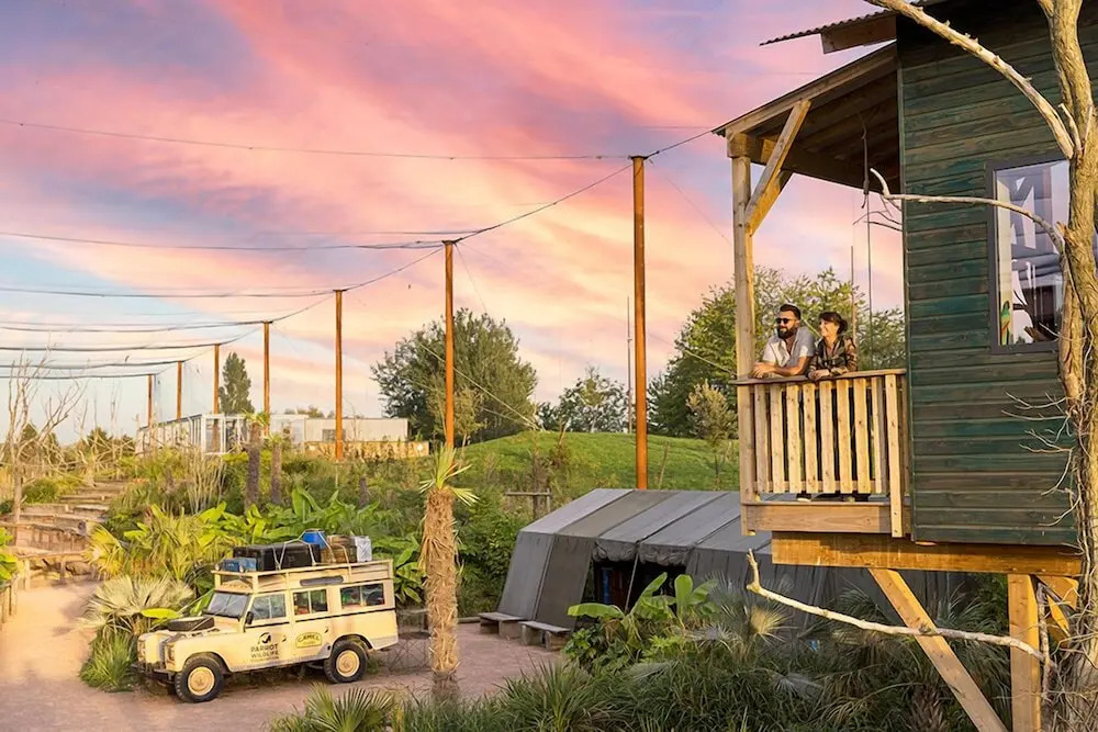 Les Lodges - Parrot World