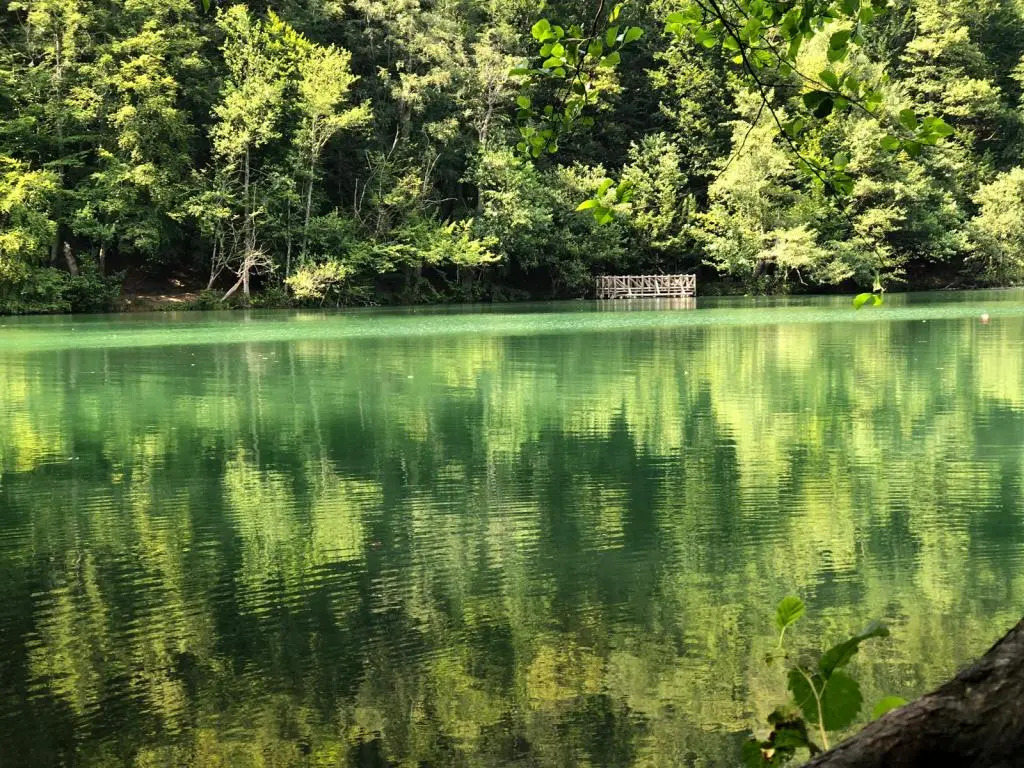Habitat Mesire Bungalov Evler,Yedigöller