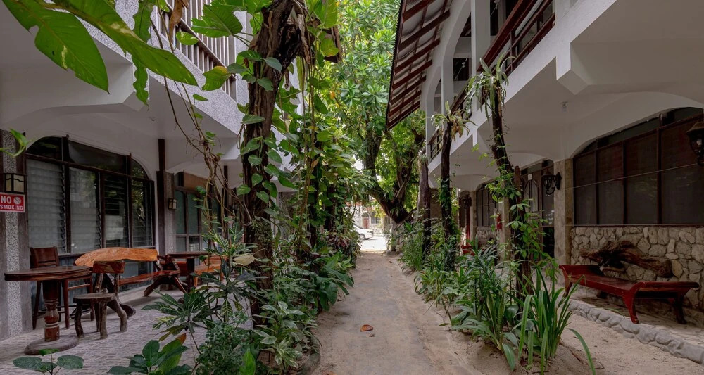 ZEN Rooms Garden Beach Siargao