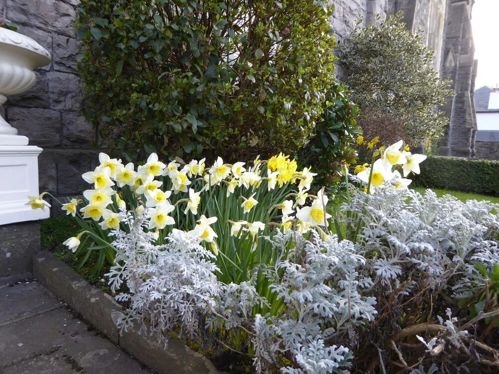 The Grange Guest House