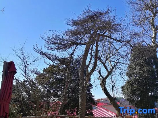 Yuanye Yunshu Hostel