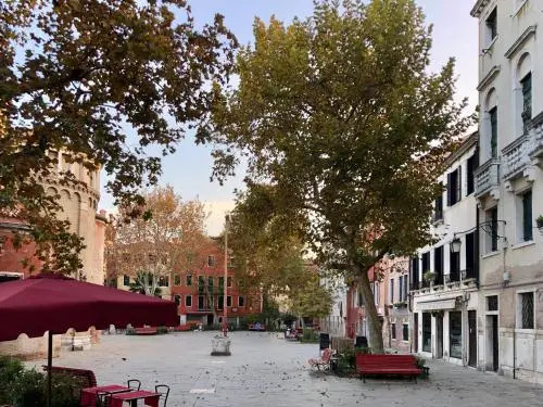 B&B Patatina