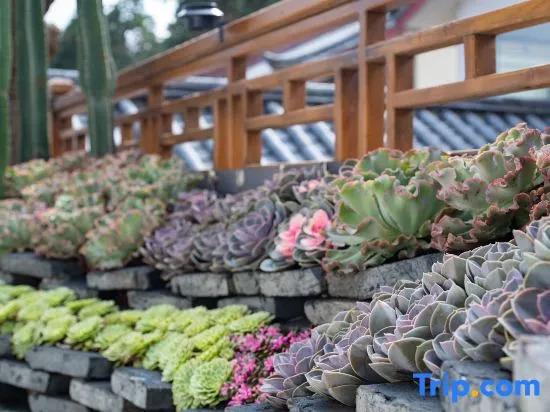 Lijiang Rushuangbiyuan Design Beauty Lodge (Feihua Touch water Shop, Shuhe Town)