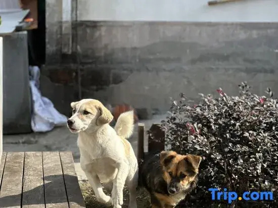 Yin Ye  Homestay（Dongzhuang）