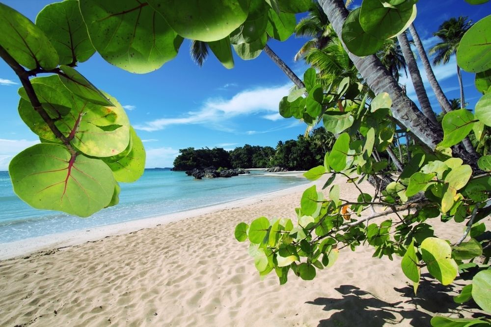 Los Cocos Residences