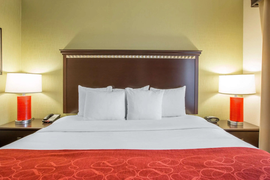 Comfort Suites Locust Grove Atlanta South