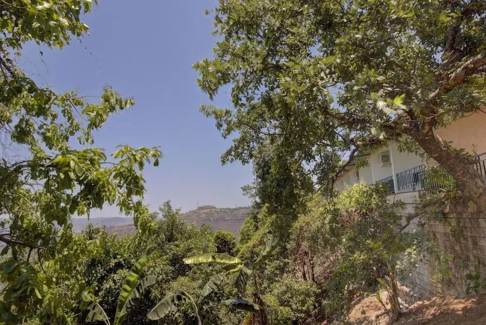 Rainforest Restaurant & Villa's