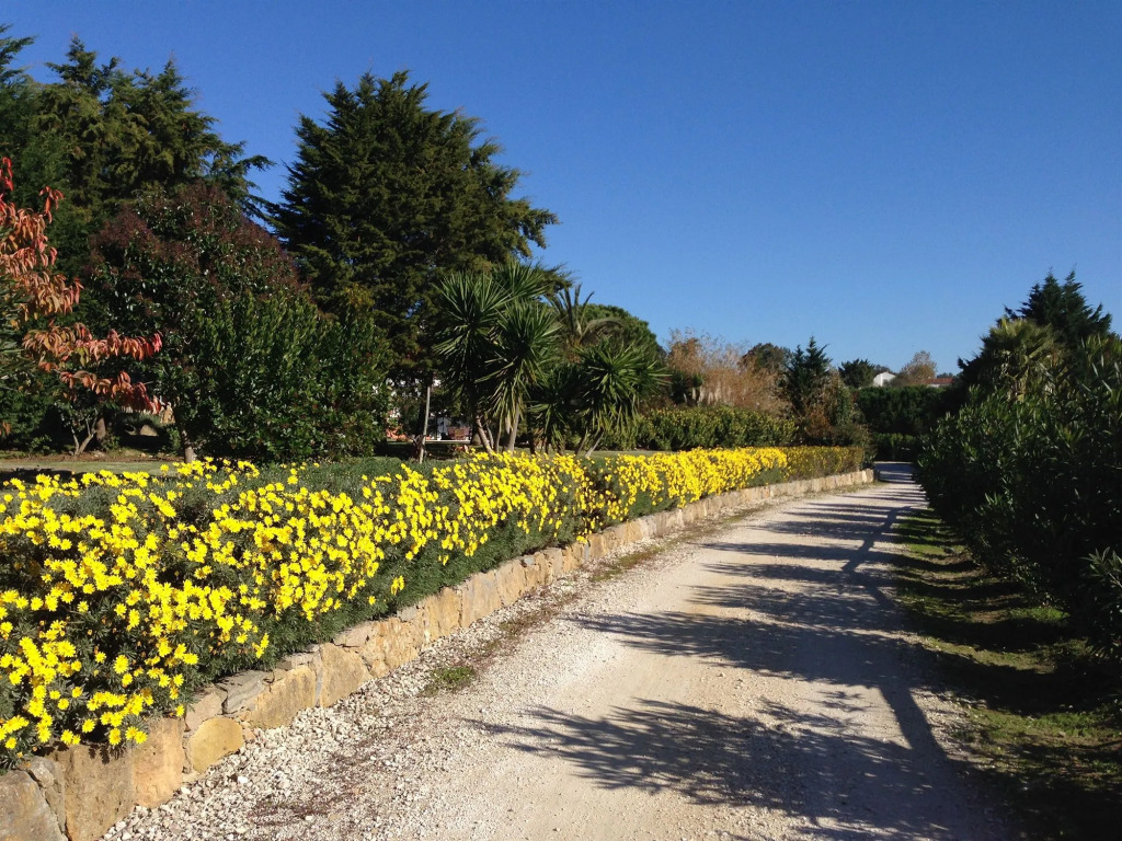 Quinta Verde Sintra - Casa de Campo