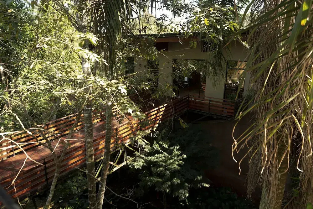 Tekoa Lodge de Selva