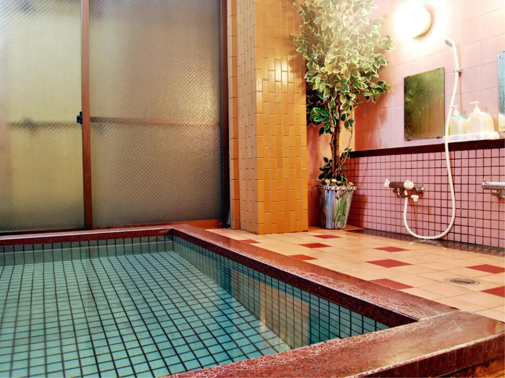 Hashimotoya Ryokan