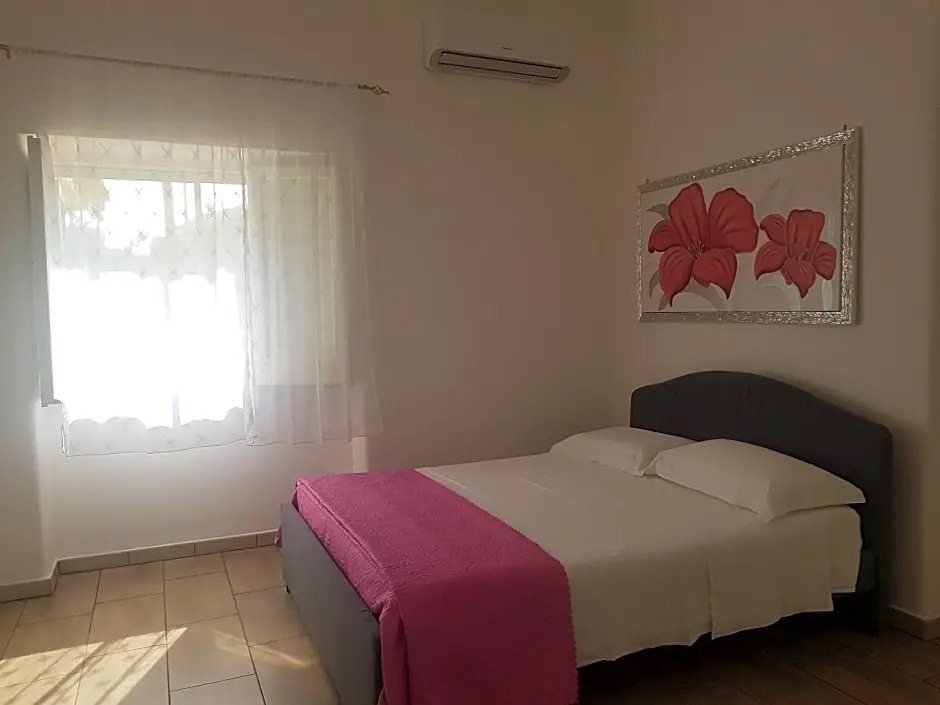 B&B La pineta