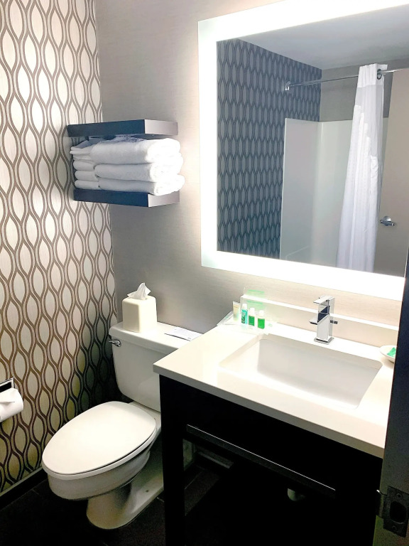 Holiday Inn St. Paul Downtown by IHG