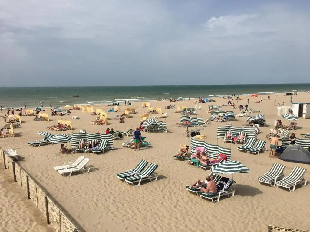 Appartement vue sur mer