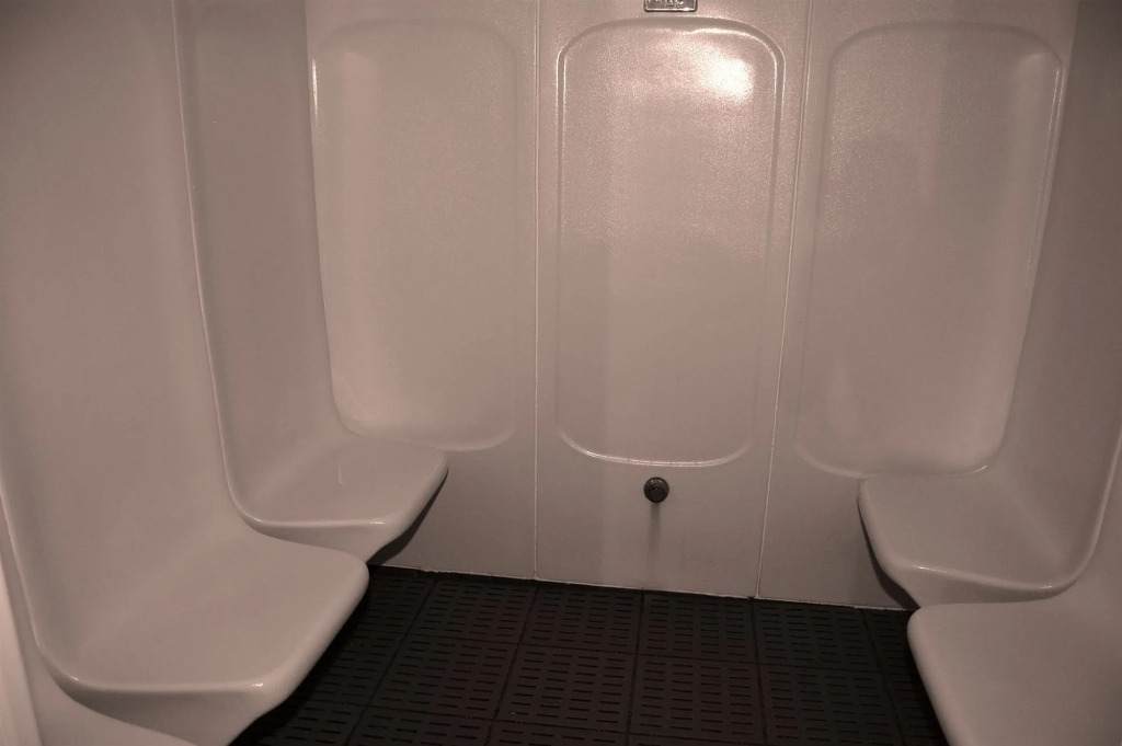 The Wight