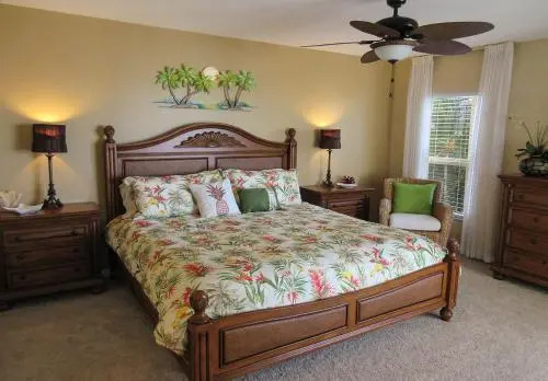 Island Reef 504
