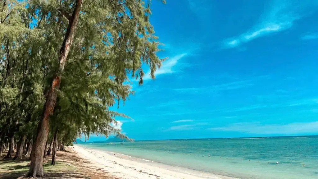 3BD Luxury Penthouse, Big Terrace, 5min from beach