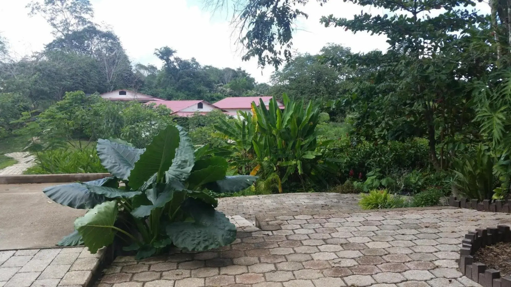 Los Susurros Casa Monkey Rescue and Rehabilitation Sanctuary