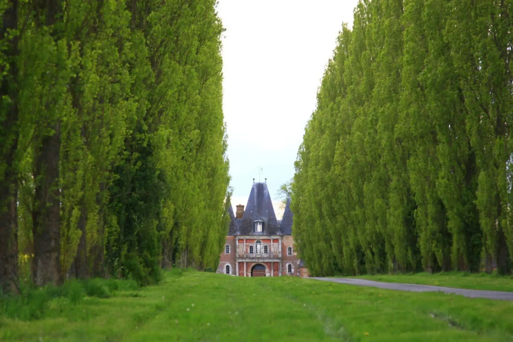 Le château de Bonnemare - Bed and breakfast