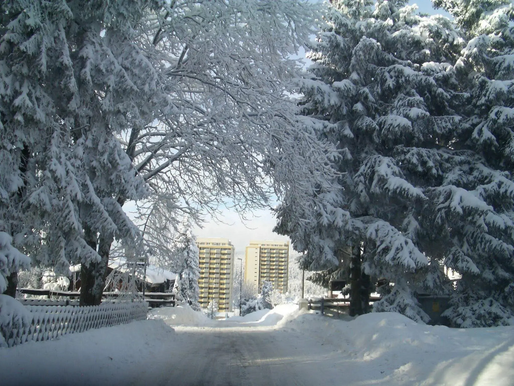 Panoramic Apartments Hohegeiß
