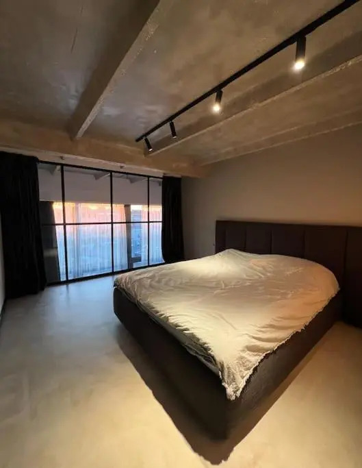 Huge modern flat in New town/Naujamiestis