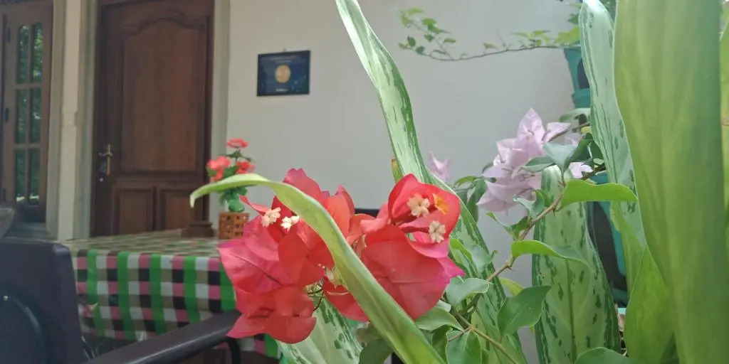 Liyara Home Stay