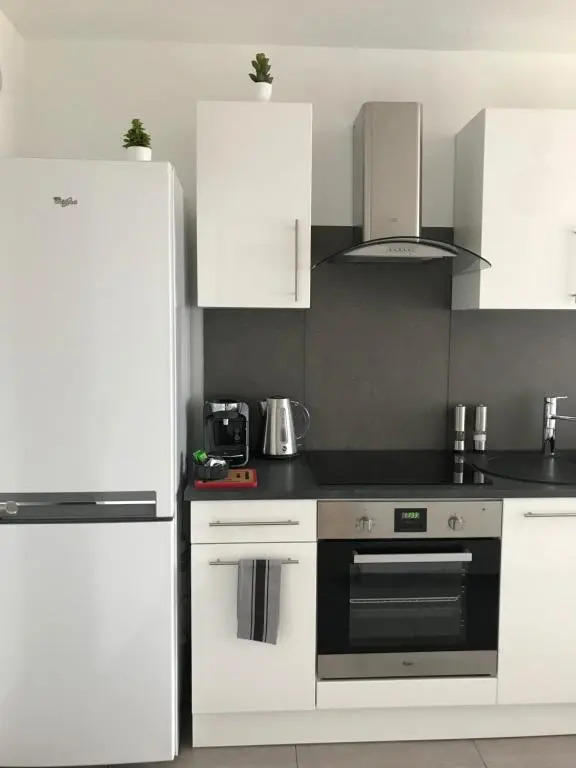 Roanne-centre appartement