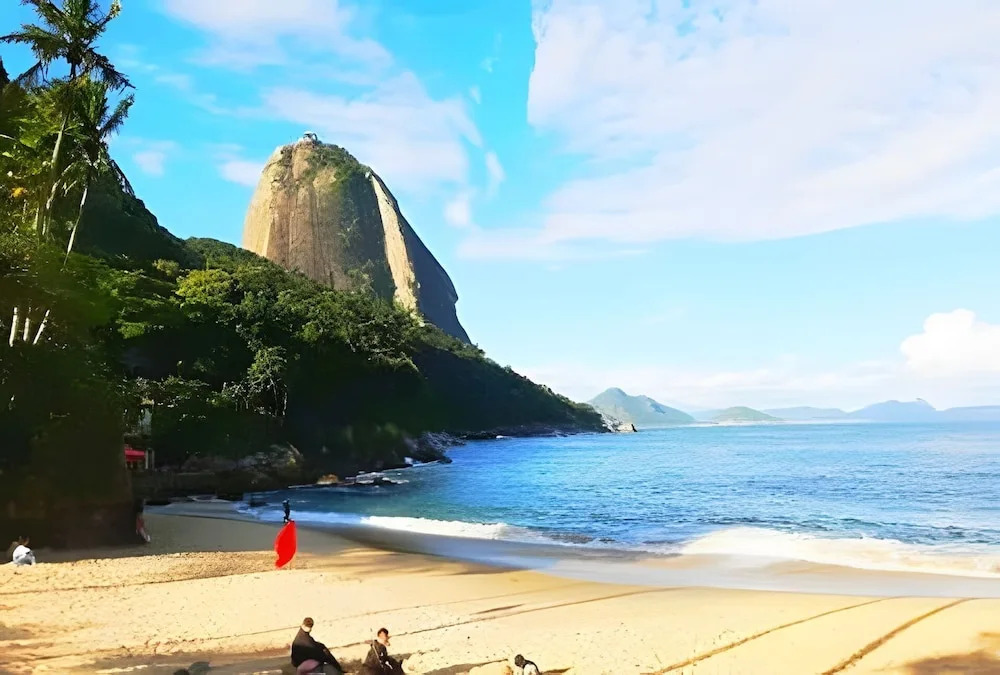 Michelle 401