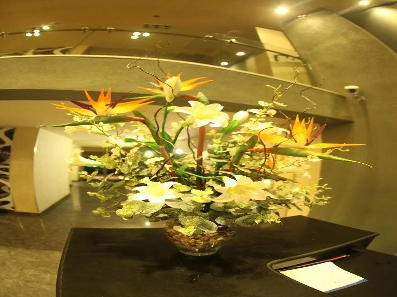 Avia Hotel & Resort
