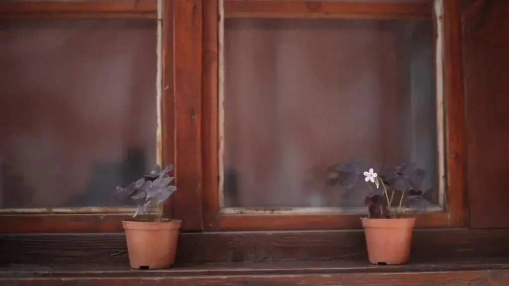 Guest House Zlatniyat Telets