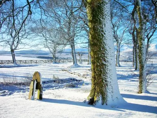 Bannerdale