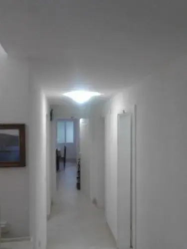 House Nativa