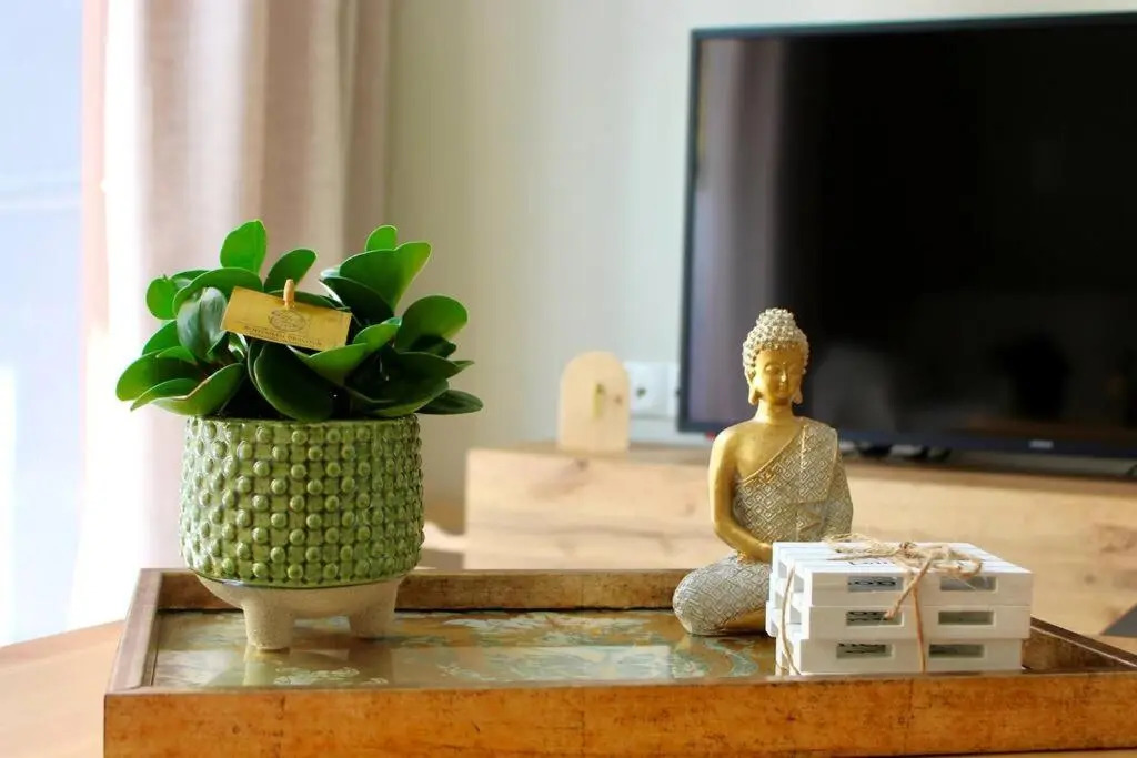 George's House City center cozy boho apartment