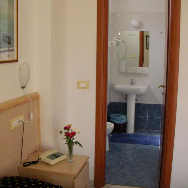 Hotel Delle Mimose