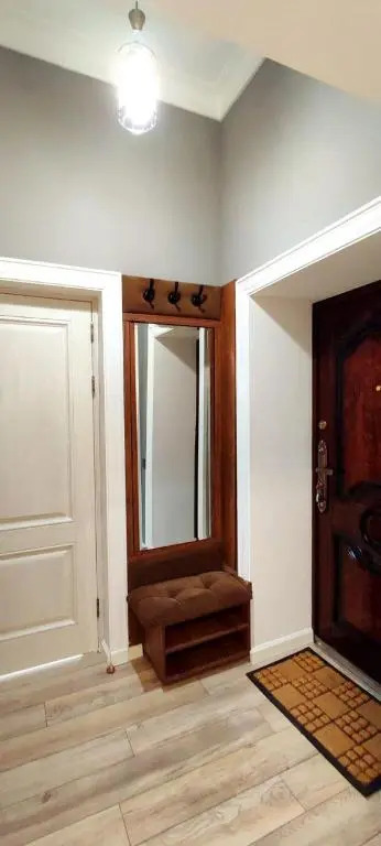Cozy one bedroom apartment in central Tashkent