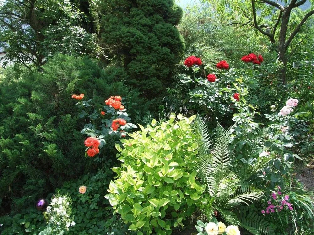 Garni Rebhof