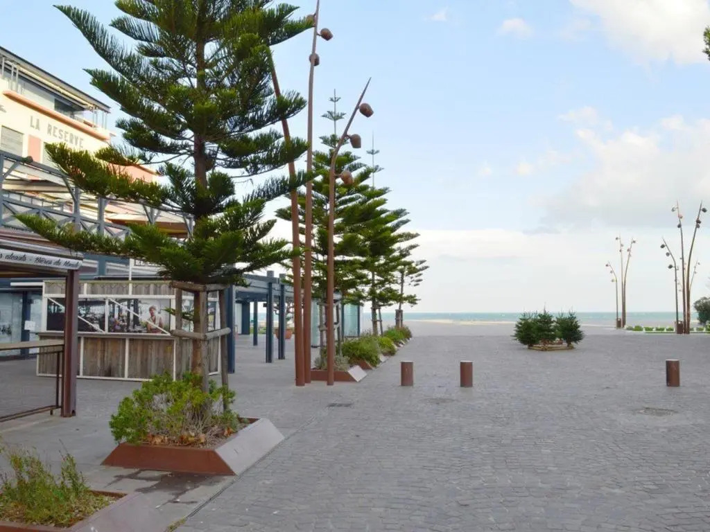 Appartement Argelès-sur-Mer, 2 pièces, 2 personnes - FR-1-225-704