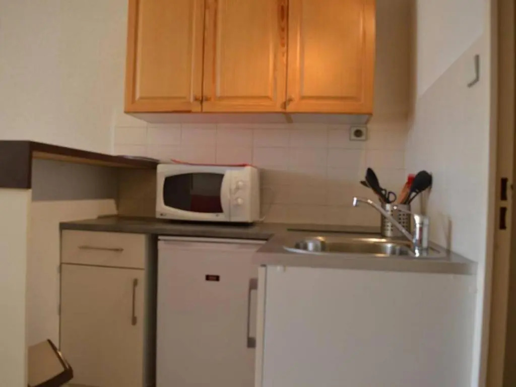 Appartement Saint-Cyprien, 1 pièce, 4 personnes - FR-1-225D-147