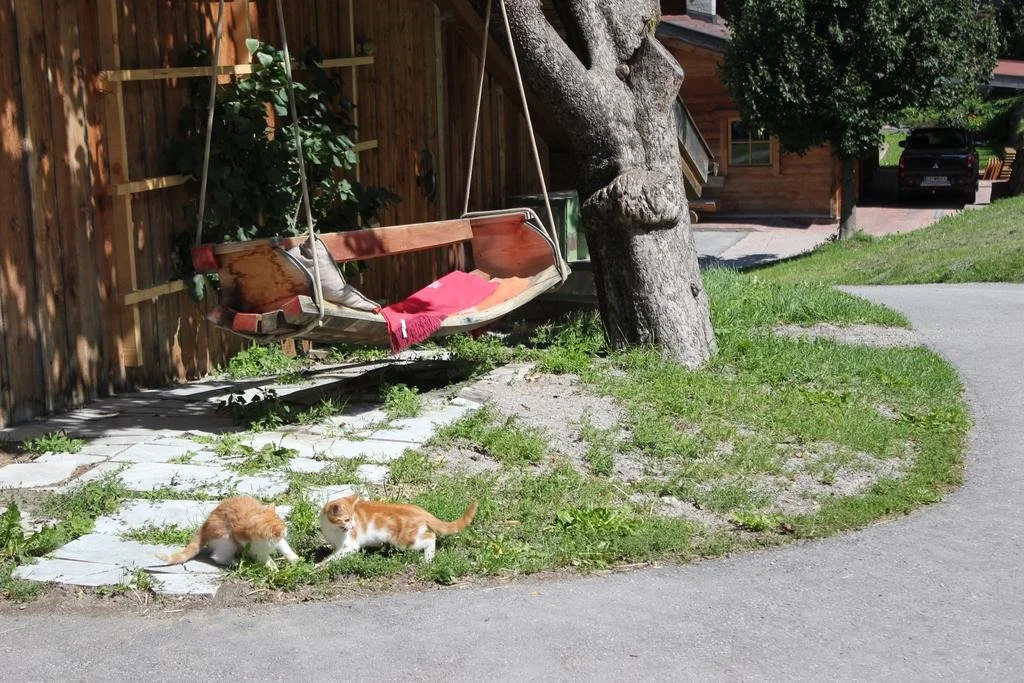 Pongitzerhof
