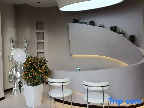 Weixi Homestay (Mangshi Square)