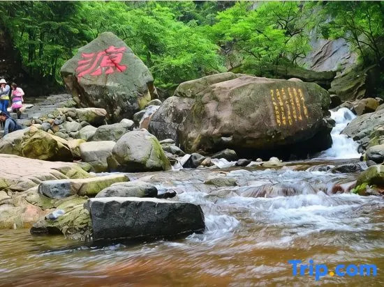 Hangzhou Linan Old Maple Tree Valley-view Hostel