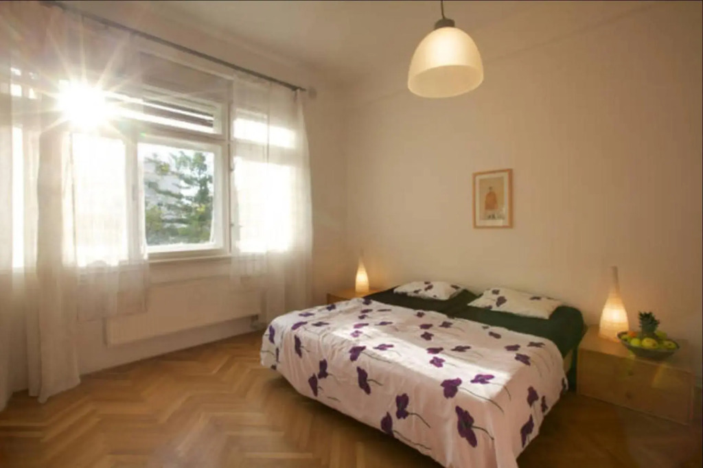 Apartment Sedlčanská - You Will Save Money Here - equipped with antique furniture