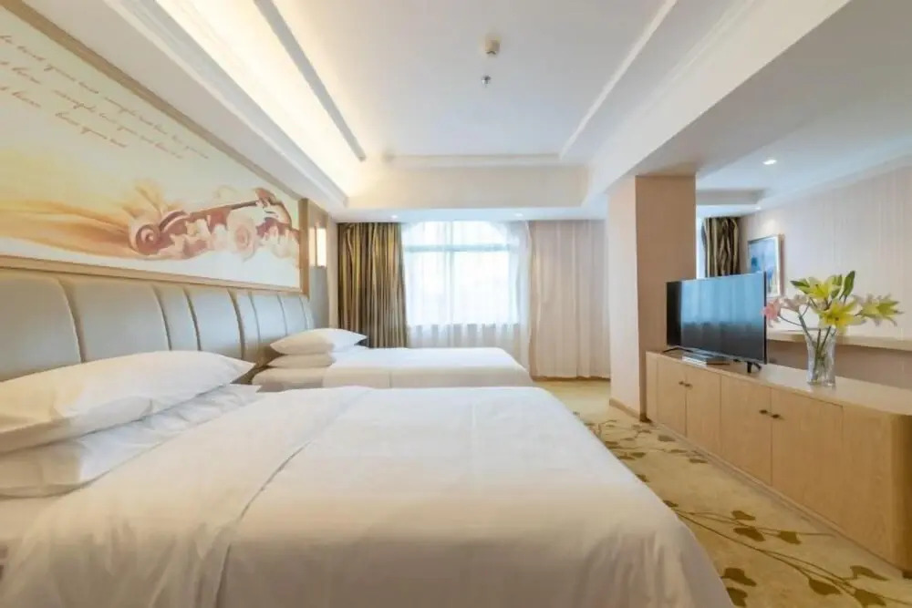 Vienna Hotel