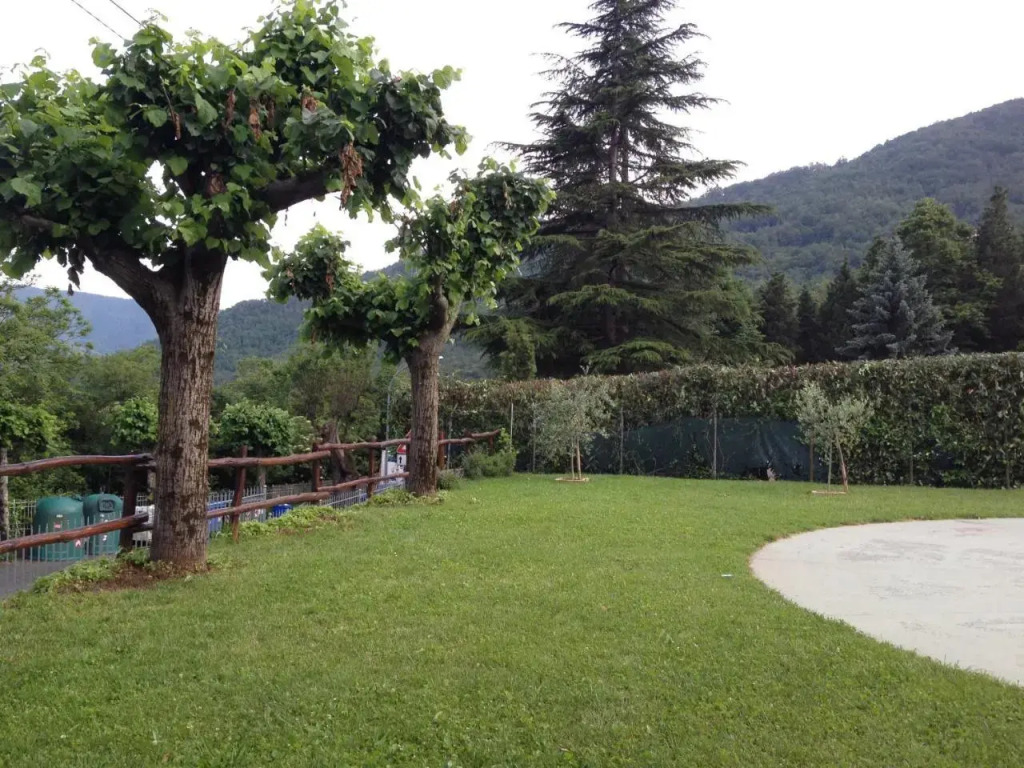 Il Capriolo