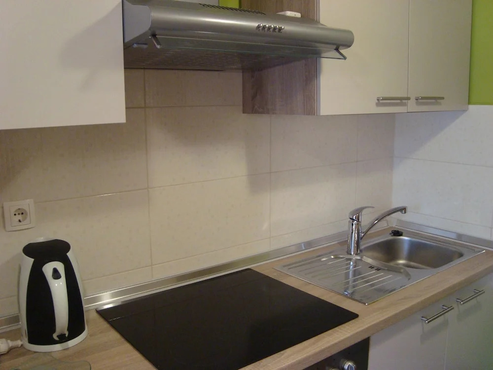 Apartment Borislav